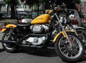 1998 Harley-Davidson 1200 Sportster Sport photo